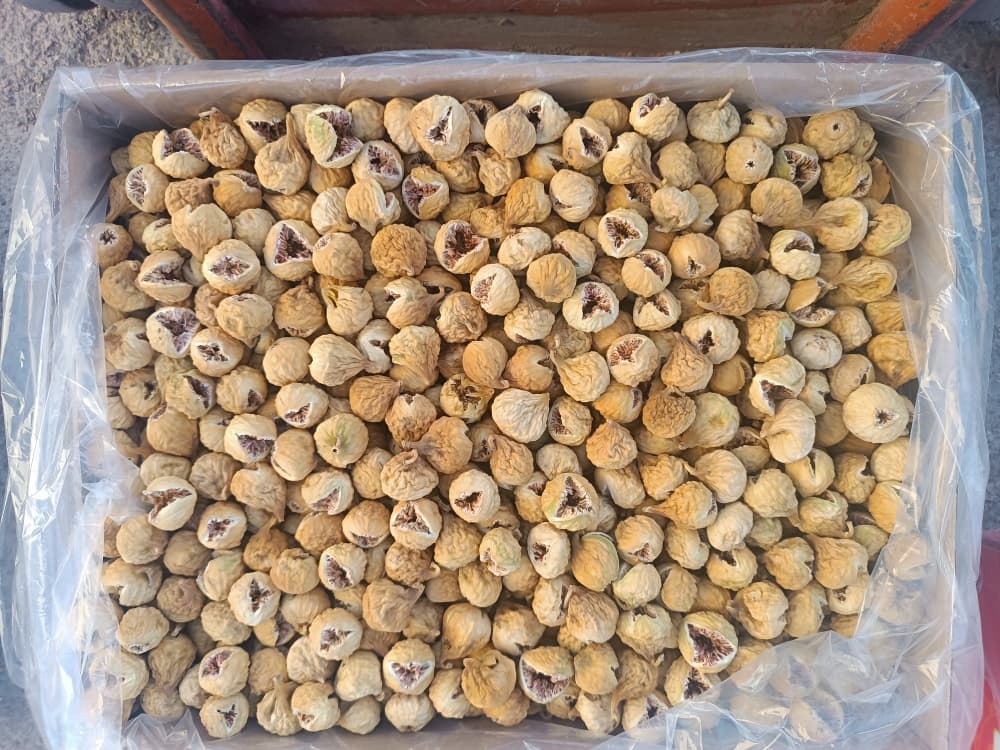 فروش ویژه انجیر + خرید مستقیم از شرکت